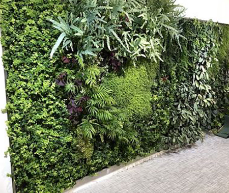 Mur vegetal